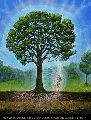 alex grey painting of human and tree with energy connecing them