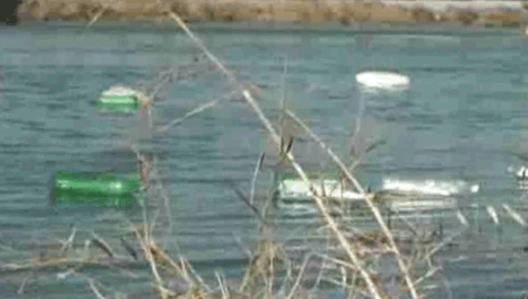 bottles float downstream